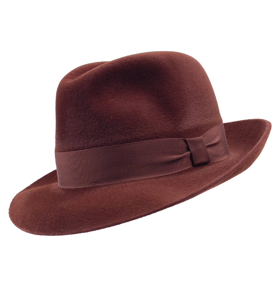 Brown Fedora Hat.