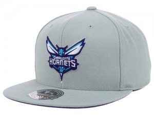 Charlotte Hornets Hat