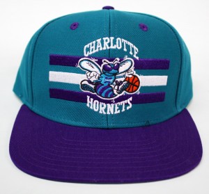 Charlotte Hornets Hat Image