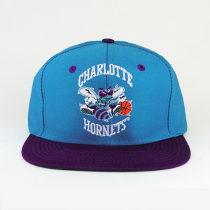 Charlotte Hornets Hat Images