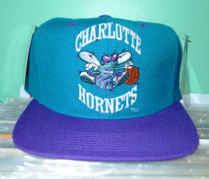 Charlotte Hornets Hat Picture