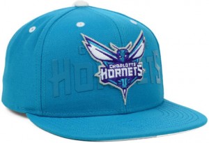 Charlotte Hornets Hats