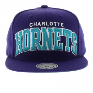 Charlotte Hornets Hats Snapback