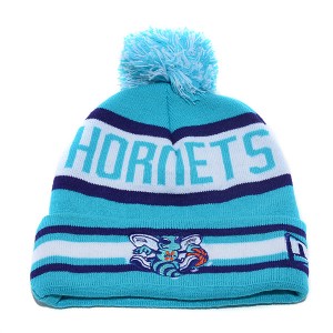 Charlotte Hornets Winter Hat