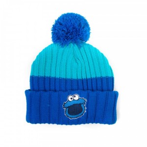 Cookie Monster Beanie Hat