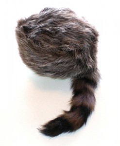 Coon Hat Image