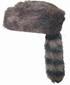 Coon Skin Hat Image