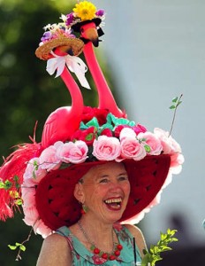 Crazy Derby Hats