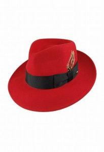 Fedora Hat Image