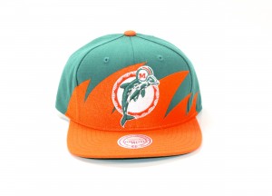 Miami Dolphin Hat