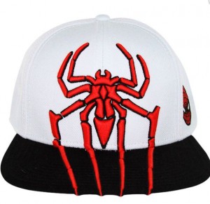 Spiderman Hat Image