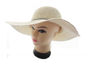 Straw Sun Hats Image