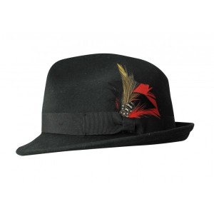 Black Fedora Hat with Feather
