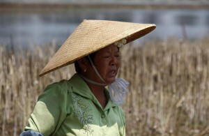 Chinese Farmer Hat