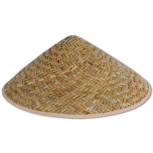 Chinese Sun Hat