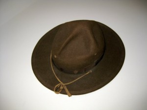 Scout Campaign Hat