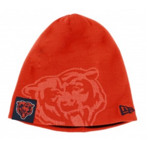 Bears Winter Hat