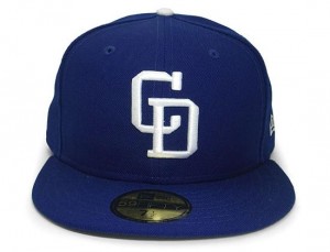 Chunichi Dragons Hat