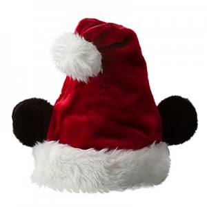 Mickey Santa Hat