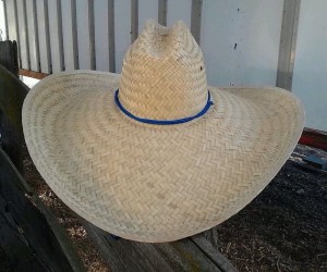 Sombrero Cowboy Hat