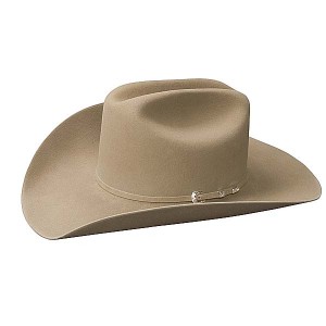 Stetson Cowboy Hats for Men