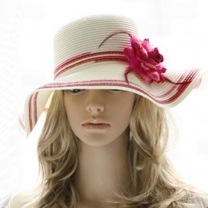 Stylish Sun Hat