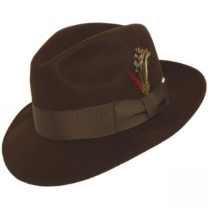 Brown Fedora Hat