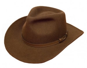 Brown Fedora Hats for Men