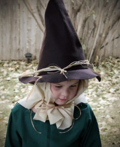 Wizard of Oz Scarecrow Hat